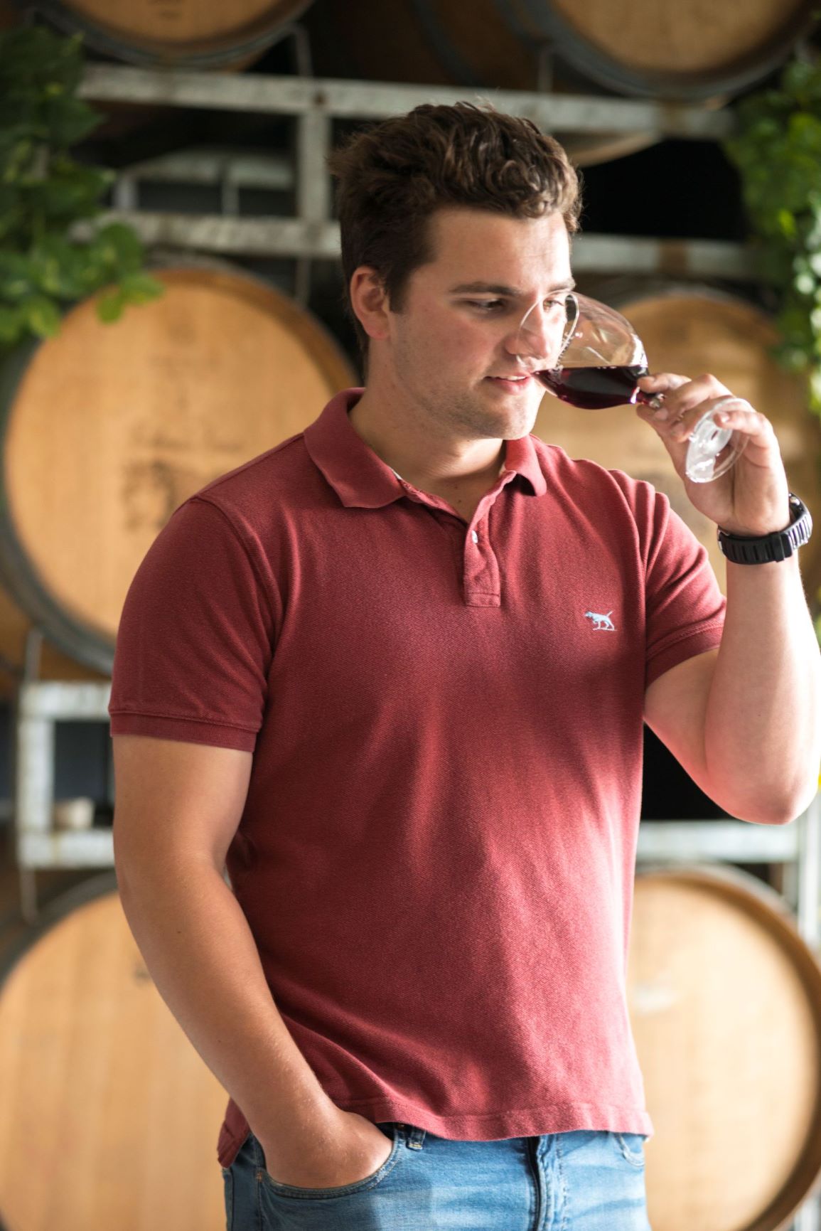 Shiraz 2019