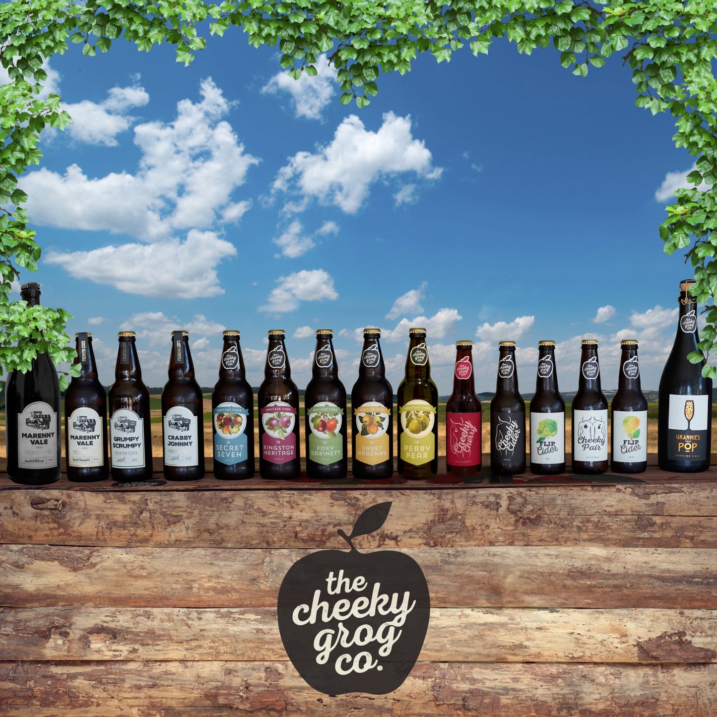 Cheeky Apple Cider Can