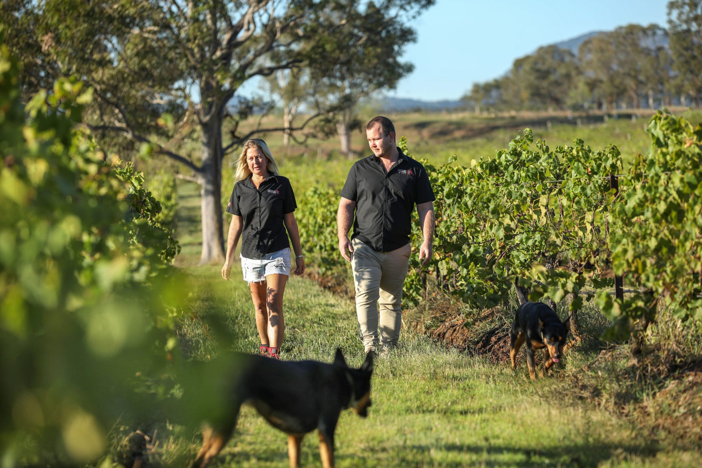 2023 Latitude 32 The Apprentice Shiraz